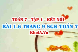 Bài 1.6 trang 9 SGK Toán 7 tập 1 Kết nối tri thức